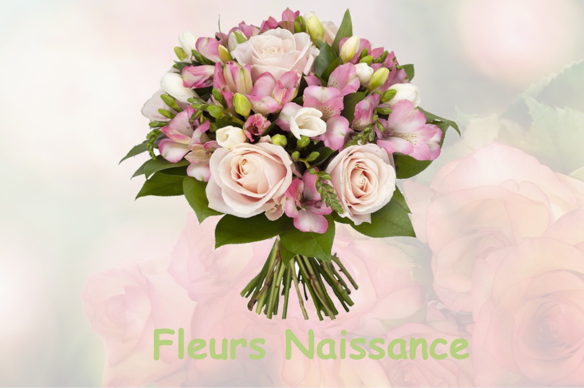 fleurs naissance BUSSAC-SUR-CHARENTE